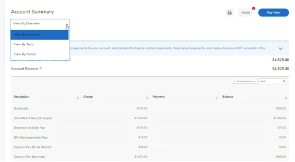 charges-and-payments-account-summary-visual.png