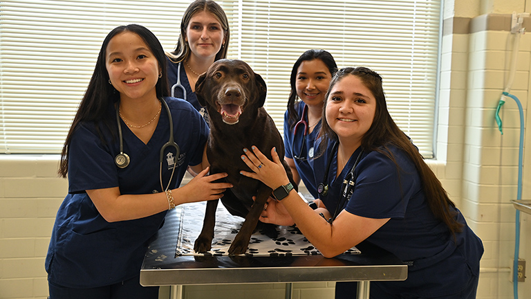 Blinn veterinary technology students